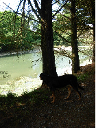 Clique pour agrandir ...